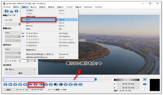 Avidemuxで動画をカット