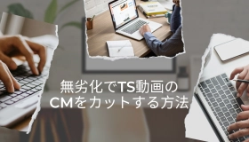 無劣化でTS動画のCMをカット