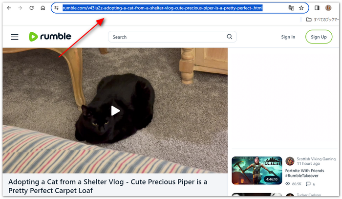 ダウンロードしたいRumble動画のURLをコピー