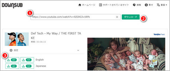 DownSubでYouTube字幕をダウンロード