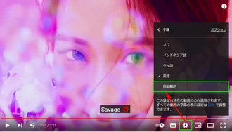 youtube 字幕 付け方