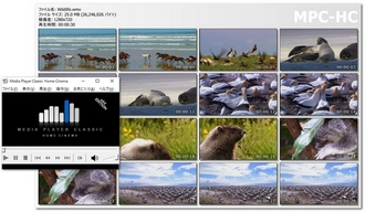 MP4・AVI・MOV動画 JPEG変換フリーソフトMPC