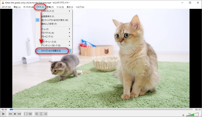 VLCで動画からスクリーンショットを撮る