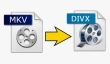 MKVをDivXに変換