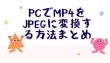 MP4をJPEGに変換