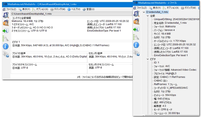 MP4コーデック確認方法 Windows 10/11 MediaInfo