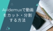 Avidemuxで動画をカット