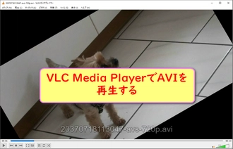 Windows10のVLCでAVIを再生