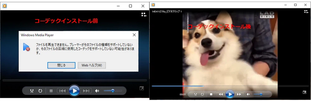 Windows Media PlayerでFLV再生