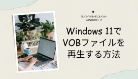vob ファイル 再生 windows11