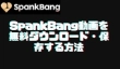 SpankBang動画を無料ダウンロード・保存