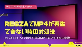 REGZAでMP4再生できない