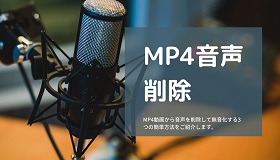 MP4音声削除