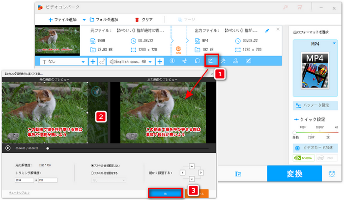 画面をクロップすることでYouTube動画からロゴを消す