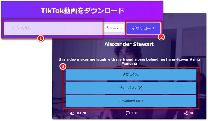 TikTok動画を保存/ダウンロード PC サイト