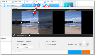 TikTok動画をクロップ
