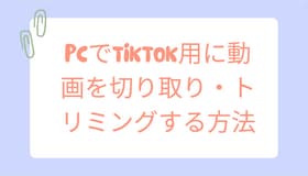 PCでTikTok用に動画を切り取り・トリミングする方法