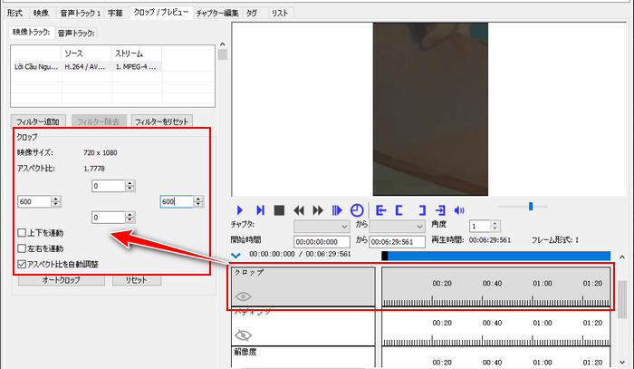 縦動画編集ソフト XMedia Recode