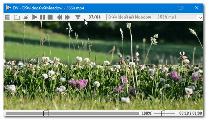 動画プレイヤー【軽い】～DV