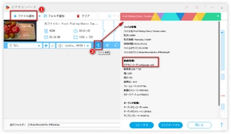 VP9/VP09動画をMP4/H.264などに変換する前に動画情報を確認