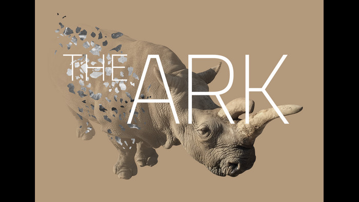 The Ark