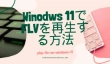 Windows 11でFLVを再生