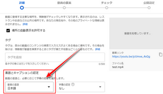 YouTube動画文字起こし 言語設定