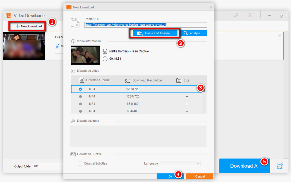 Video Downloader