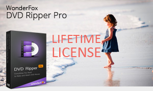 WonderFox DVD Ripper Time-limited discount