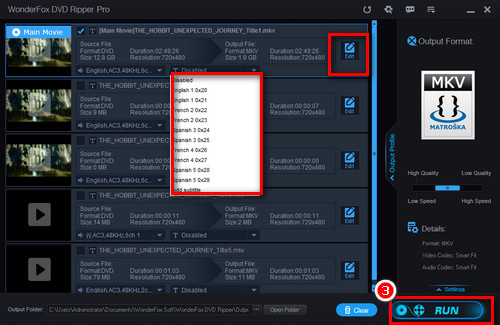 Start Video_TS to MKV Conversion