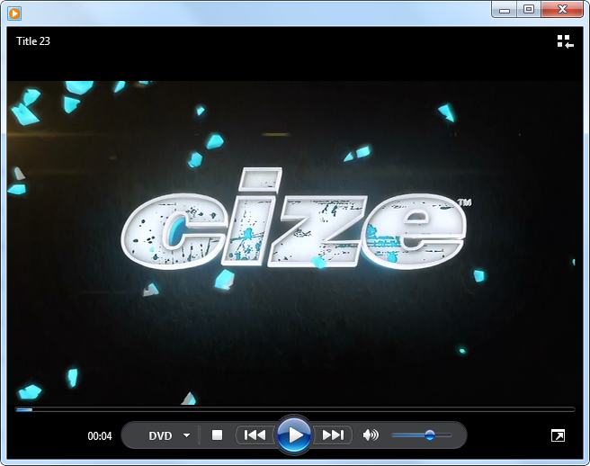 Choose the right title  for Cize