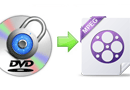 DVD Ripper Review