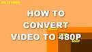 Convert Video to 480P