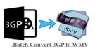 Convert 3GP to WMV