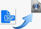 Convert 3GP to WAV