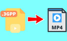 Convert 3GPP to MP4