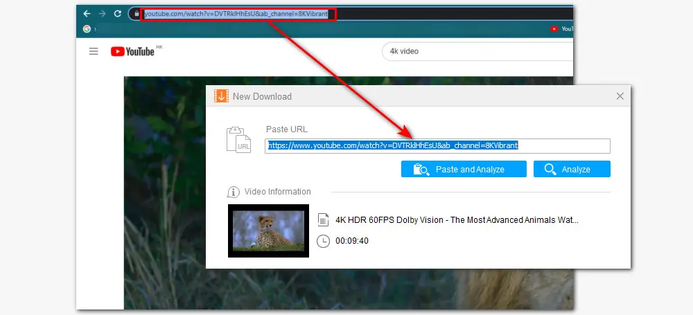 video 4k downloader wont parse