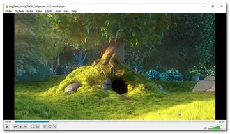 Top 10 Free 4K Video Players for Windows 10/11 and Mac