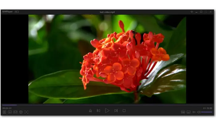 Top 10 Free 4K Video Players for Windows 10/11 and Mac