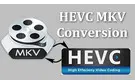 Convert MKV to HEVC