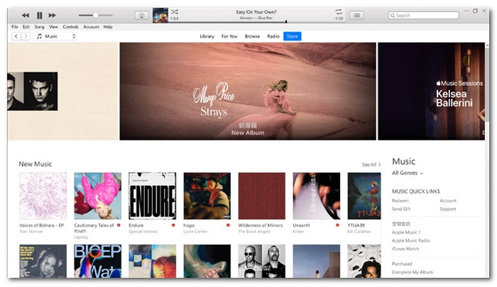 iTunes