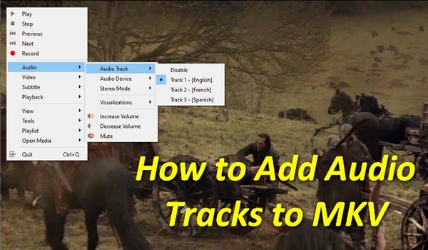 Add Audio to MKV