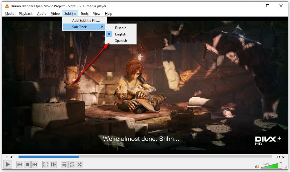 Add Multiple Subtitles to Video