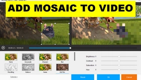 Add Mosaic to Video