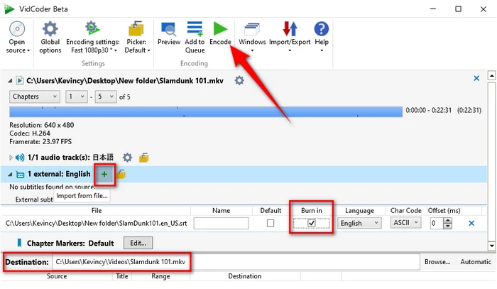 VidCoder Merge MKV and SRT