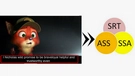 Extract Subtitle from Videos