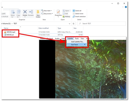 Rename Subtitles in the Same Folder