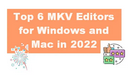 MKV Editor