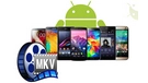Play MKV on Android