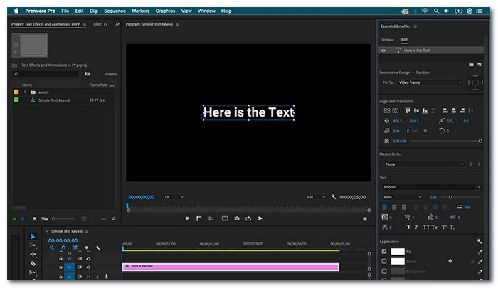 Adobe Premiere Pro